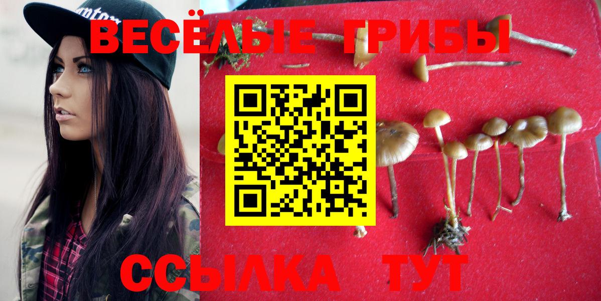 Братск  Псилоцибиновые грибы мицелий  Вход с VPN 