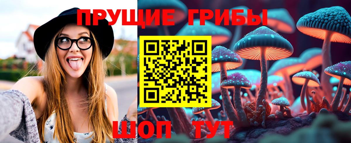 Галлюциногенные грибы Magic Shrooms Братск